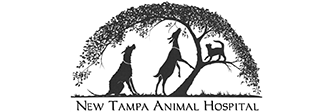 Link to Homepage of New Tampa Animal Hospital